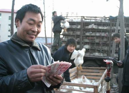 養(yǎng)雞場(chǎng)如何確定適合自己的生產(chǎn)工藝？